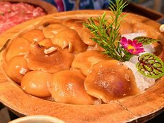 -季季山·云南野生菌火锅(上海首店)