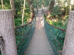 -西湖风景区十里琅珰-五云山
