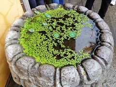 -无锡惠山寺