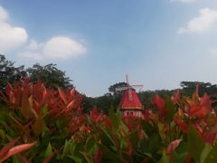 -东莞植物园