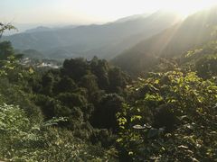 -大余丫山旅游度假区