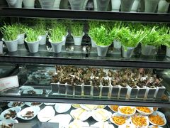 -半岛翡丽海鲜自助餐厅(观风亭店)