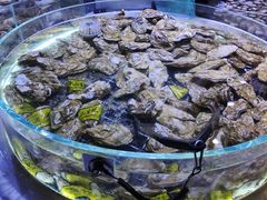 -聚盛源蒸汽海鲜火锅烤肉自助(巨川金海岸购物广场店)