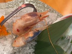 -菊上尊品料理(蚌埠银泰店)