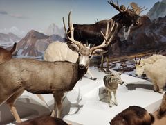 -陕西自然博物馆