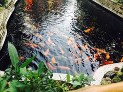 -新灿记大酒楼