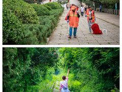 -府君山公园