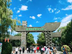 -溱湖国家湿地公园