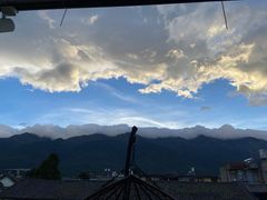 -喵屿·大理花园猫咖