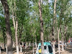 -西青郊野公园