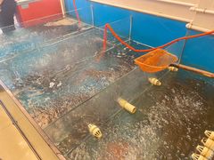 -崔记生活·铁锅炖鱼粘卷子(总店)