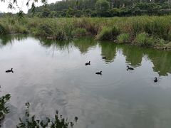 -前关湿地公园