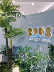 -八佰伴8008星级形象店
