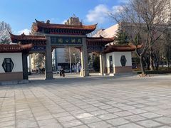 -莱西月湖公园