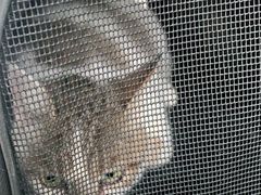 -安安宠医·安宠宠物医院