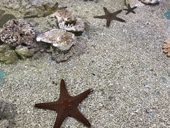 -重庆欢乐海底世界