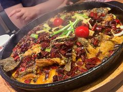 -老板恋上鱼(恒隆广场店)