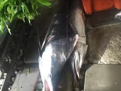 -席娜卡琳火车铁道夜市