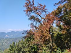 -广州市石门国家森林公园