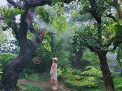 -Fern Forest Cafe