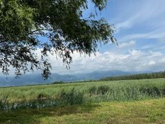 -野鸭湖国家湿地公园