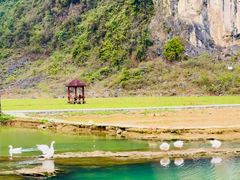 -靖西鹅泉风景区