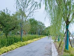 -阳澄湖半岛旅游度假区