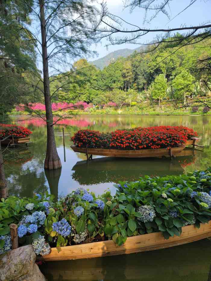 深圳市中科院仙湖植物園