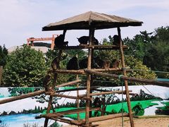 -西霞口神雕山野生动物世界