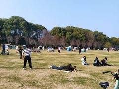 -昆山城市生态森林公园