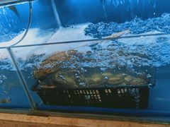 水产区-芭菲盛宴·环球美食(北城国际店)