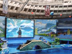 -海合安成都极地海洋公园