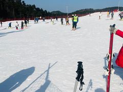 -溪口商量岗景区