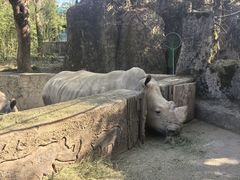 -杭州野生动物世界