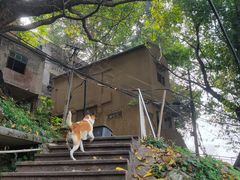 -龙泉洞(沙坪坝区)