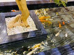 -天沐温泉(抚顺店)