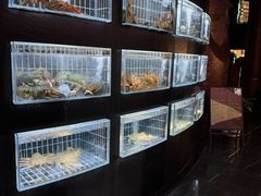 -鱼翅楼·津派砂锅鱼翅(水上公园店)