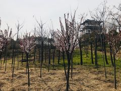 -卤阳湖国家湿地公园