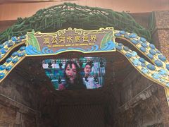 -西双版纳原始森林公园