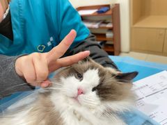 -美迦爱-牙专科·兔科·骨科诊疗中心(北苑店)
