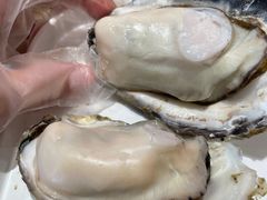 -杨氏青龙虾·羊蝎子(珠江路店)