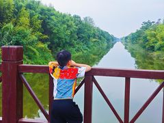 -黄海国家森林公园