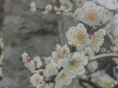 -幕燕滨江·长江观音景区