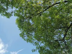 -嘉北郊野公园北游客中心-地上停车场