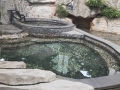 -海口观澜湖火山温泉谷