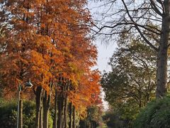 -西溪国家湿地公园