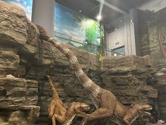 -辽宁古生物博物馆