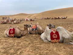 -银肯塔拉沙漠生态旅游景区