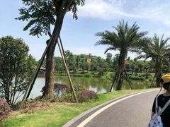 -枫香湖儿童公园