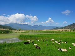 -丽江泸沽湖景区